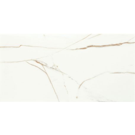 Arté Floris White 30,8x60,8 Csempe